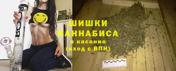 ECSTASY Богородицк